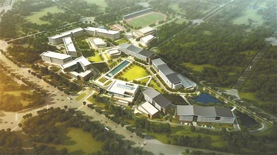 龍頭企業(yè)辦職業(yè)教育和往昔有什么不一樣?