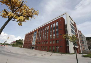 珠海金灣5所本科高校投檔線公布，職業(yè)教育培訓助力學子成才